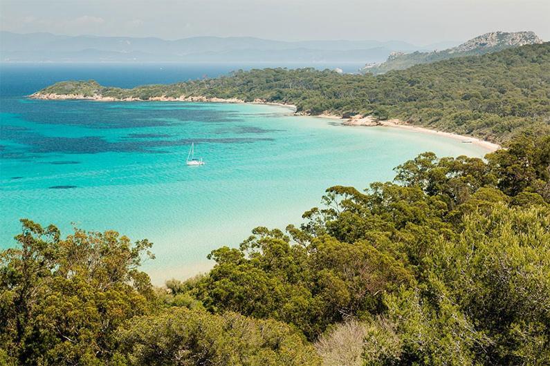 Joli Studio Entre La Mer Et La Ville Hyères Dış mekan fotoğraf